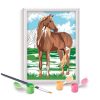 Festés szám szerint - Vadló - Paint & Frame