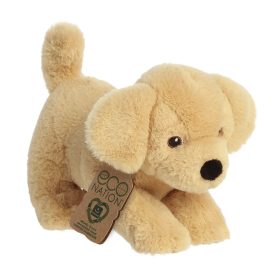 Eco Nation - Labrador - Aurora®