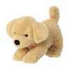 Eco Nation - Labrador - Aurora®