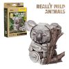 3D puzzle: Koala - National Geographic