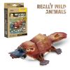 3D puzzle: Kacsacsőrű emlős - National Geographic