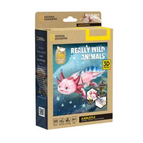 3D puzzle: Axolotl - National Geographic