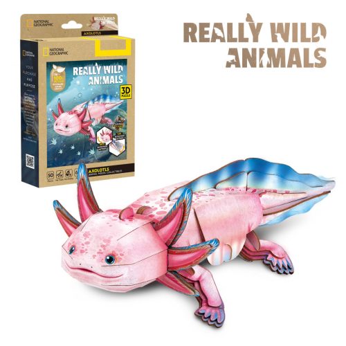 3D puzzle: Axolotl - National Geographic