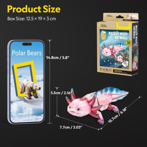 3D puzzle: Axolotl - National Geographic