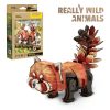 3D puzzle: Vörös panda - National Geographic