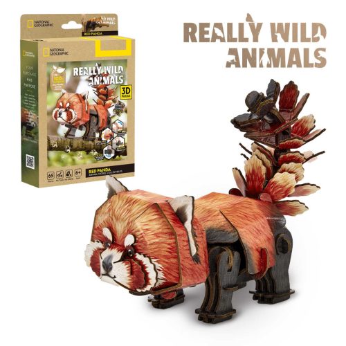 3D puzzle: Vörös panda - National Geographic