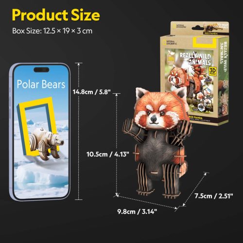 3D puzzle: Vörös panda - National Geographic