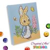 Crystal Art Gyémántszemes kirakó junior - Nyúl Péter