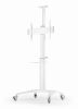 Gembird TVS-70T-02-W Aluminum TV floor stand with caster wheels 37"-70" White