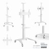 Gembird TVS-70T-02-W Aluminum TV floor stand with caster wheels 37"-70" White