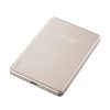 Intenso MW10000 10000mAh PowerBank Champagne