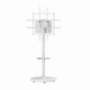 Gembird TVS-86TR-01-W TV floor stand  37"-86" White