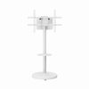 Gembird TVS-86TR-01-W TV floor stand  37"-86" White
