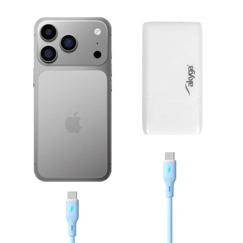 Akyga AK-CH-31 65W Wall Charger White