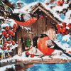 Ideyka - Téli madárkák - festés szám szerint