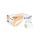 Kéztörlő 1 rétegű V hajtogatású 250 lap/csomag 20 cs/karton Beige Easy Lucart_863064P natúr