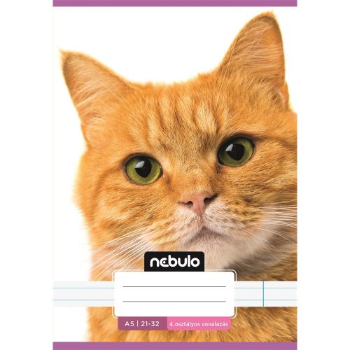 Füzet, A5, 4. osztályos vonalas, 21-32, Cuki minták, I., 16 db/csomag Nebulo