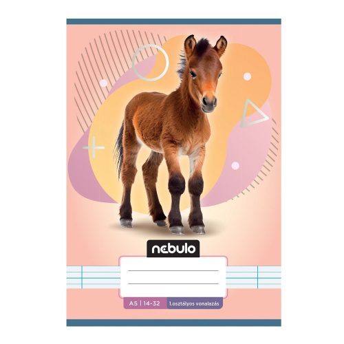 Füzet, A5, 1. osztályos vonalas, 14-32, Állatos minták, 16 db/csomag Nebulo