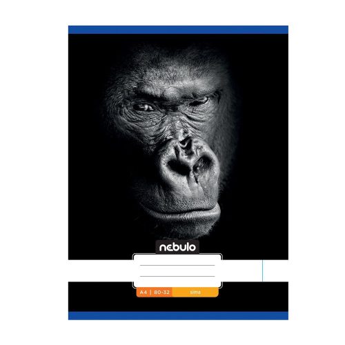 Füzet, A4, sima, 80-32, Állatos minták, 12 db/csomag Nebulo