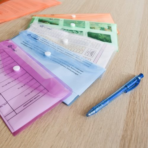 Irattartó tasak DL 'csekk' patentos PP Bluering® transzparens zöld
